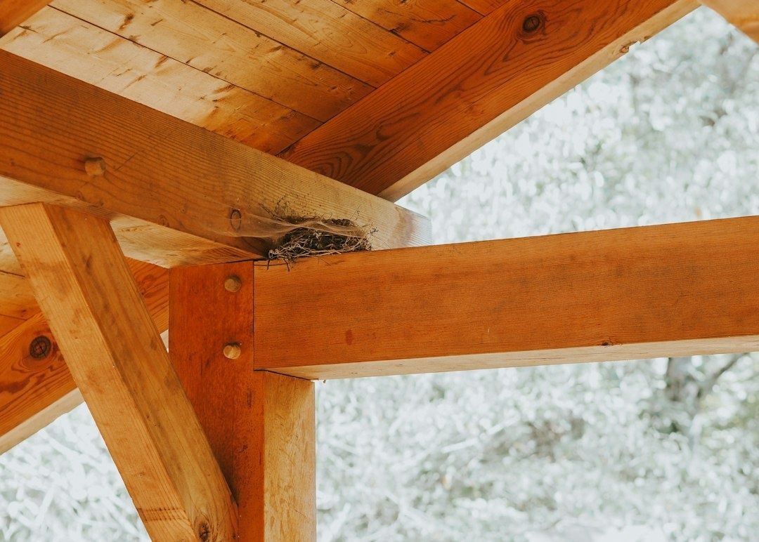 Houten dakconstructie met een vogelnest tussen de draagbalken